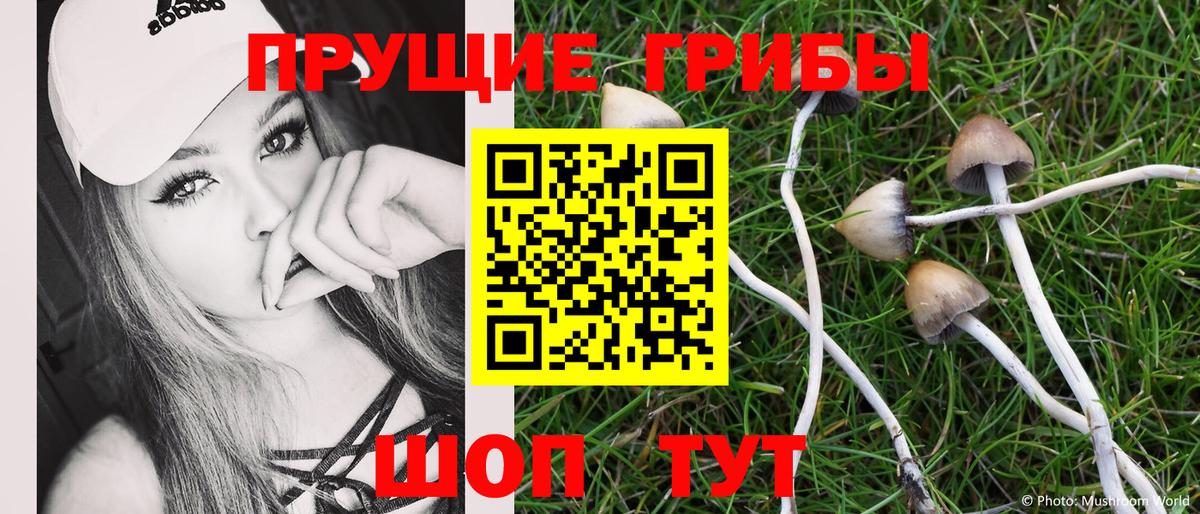 Галлюциногенные грибы прущие грибы  Вход с VPN  Елец  Галлюциногенные грибы Psilocybine cubensis 