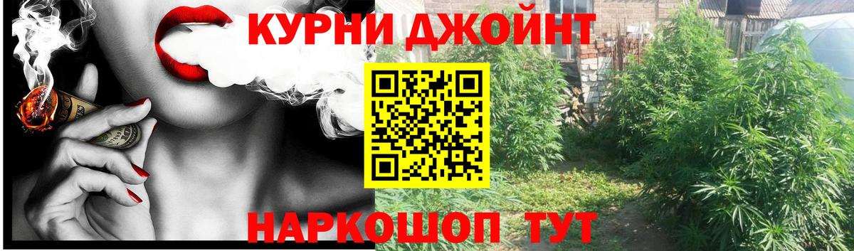 Каннабис MAZAR Елец
